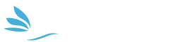 Mi blog
